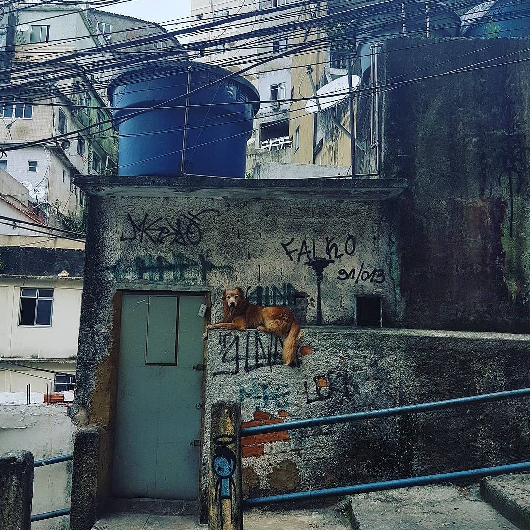 Rio Favela project — community art project, plate 13