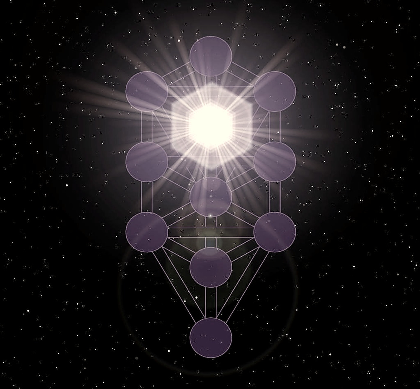 Example work by Sentient Sanctuary